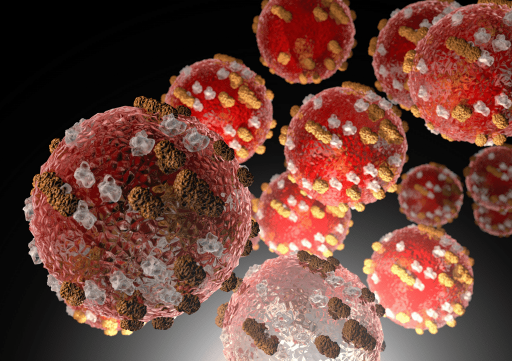 Magnification of Measles Virus